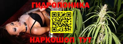 прущие крисы Балашиха