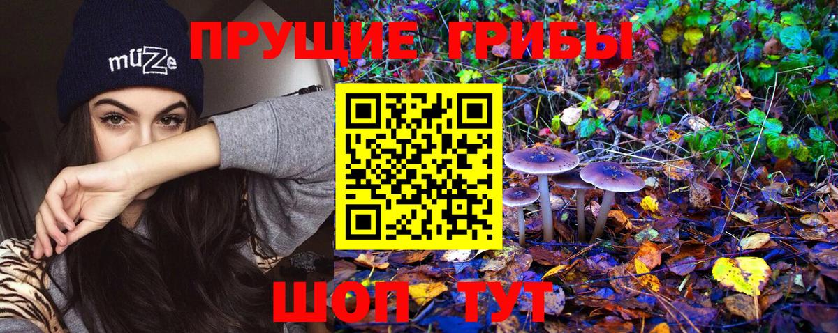 Псилоцибиновые грибы MAGIC MUSHROOMS  Волжский 