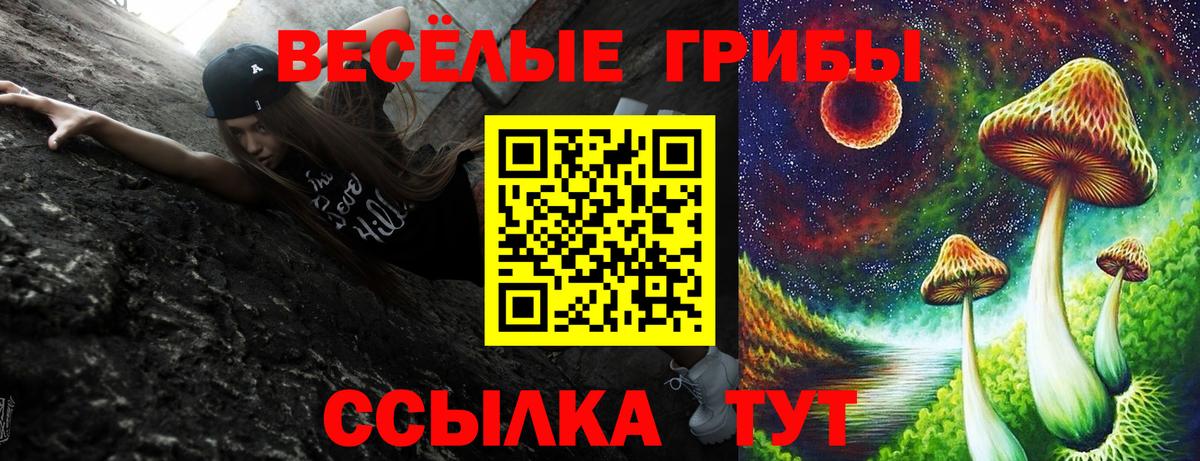 Волжский  Галлюциногенные грибы Magic Shrooms  Вход с VPN 