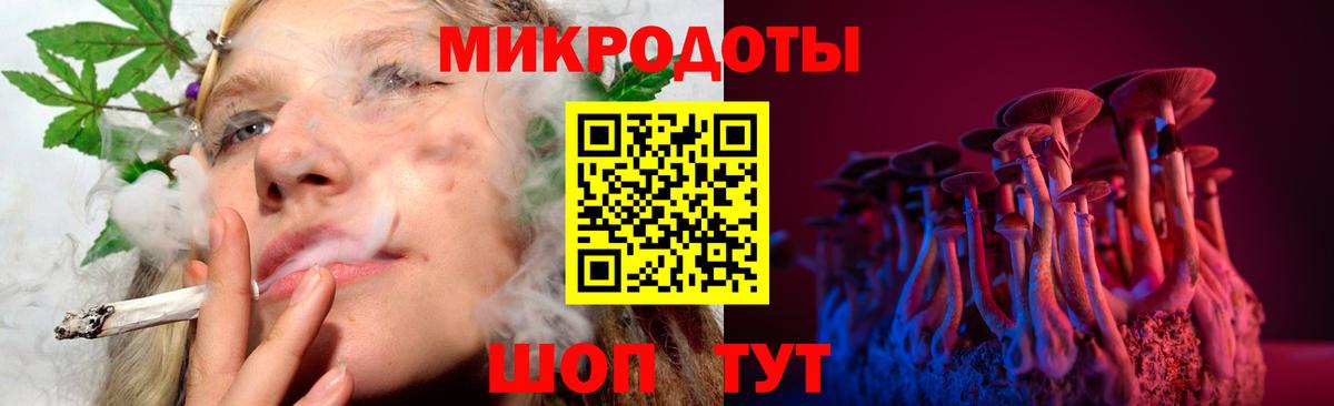 Галлюциногенные грибы Psilocybe Волжский